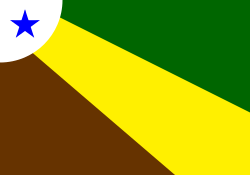 Bandeira de Parauapebas (Pará)